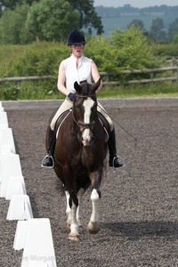 ISIS Dressage Challenge 2008